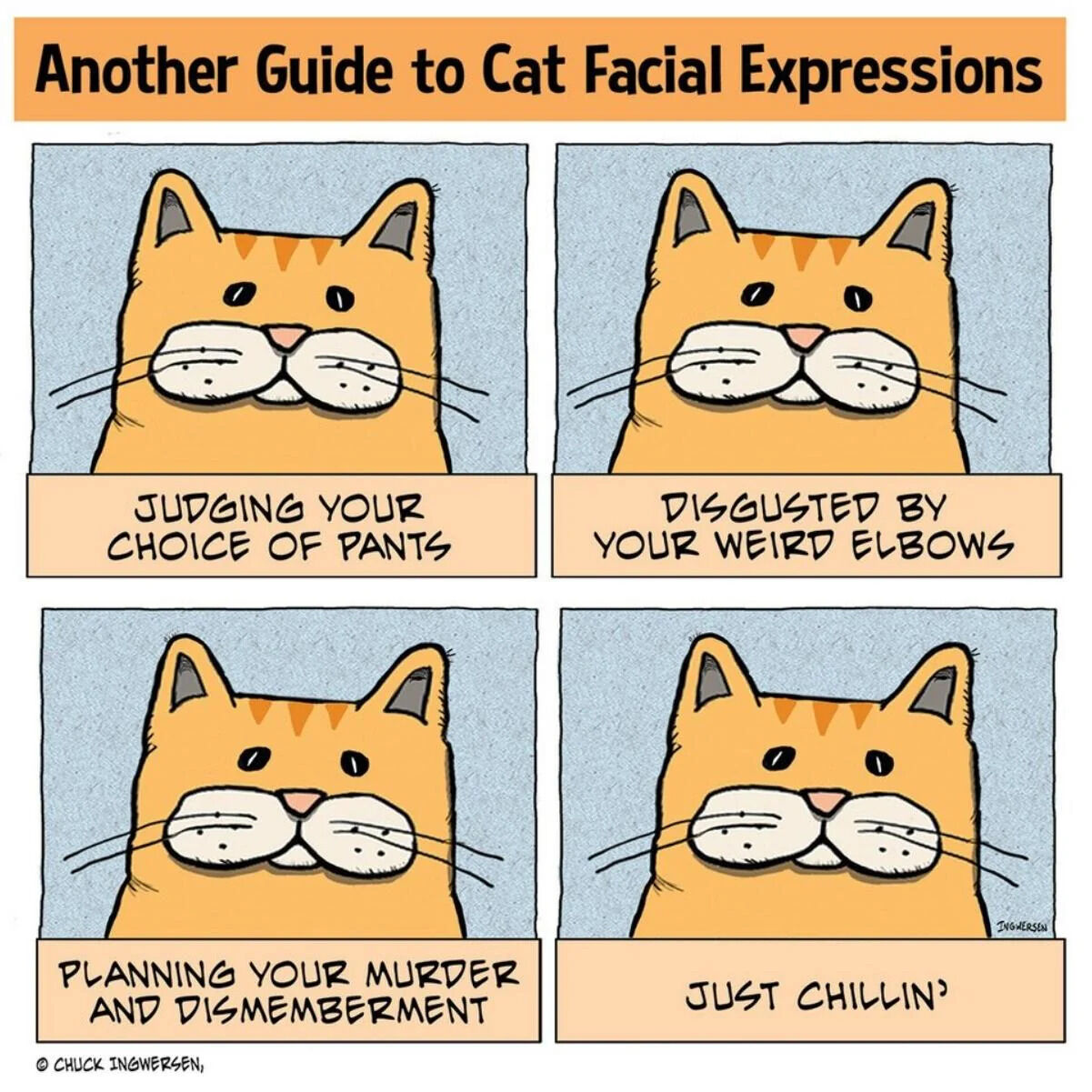 A four-panel comic titled 'Another Guide to Cat Facial Expressions' featuring an orange cat with a consistently neutral facial expression. Each panel pairs the cat's unchanged face with a humorous, anthropomorphized caption: 'JUDGING YOUR CHOICE OF PANTS', 'DISGUSTED BY YOUR WEIRD ELBOWS', 'PLANNING YOUR MURDER AND DISMEMBERMENT', and 'JUST CHILLIN'. The contrast between the cat's blank expression and the dramatic or silly captions creates a wholesome, funny effect. The artwork is signed by Chuck Ingwersen, with a copyright notice at the bottom left.