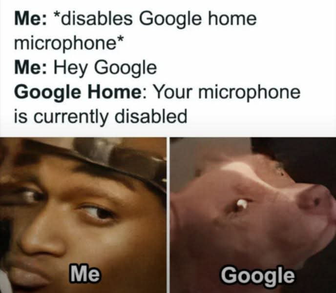 This is a two-panel comedic meme addressing smart home privacy concerns. The top text sets up the scenario: a user first disables their Google Home device's microphone, then speaks the wake phrase 'Hey Google', and receives a response from Google Home stating the microphone is currently disabled. The bottom left panel features a widely used reaction image of a skeptical Black man labeled 'Me', showing the user's confused, distrustful reaction, as the device would not have been able to hear the wake command if the microphone was truly disabled. The bottom right panel is a reaction image of a blankly staring pig labeled 'Google', representing the unapologetic, contradictory response from the smart assistant. The core joke highlights consumer distrust of tech company claims about smart device privacy controls.