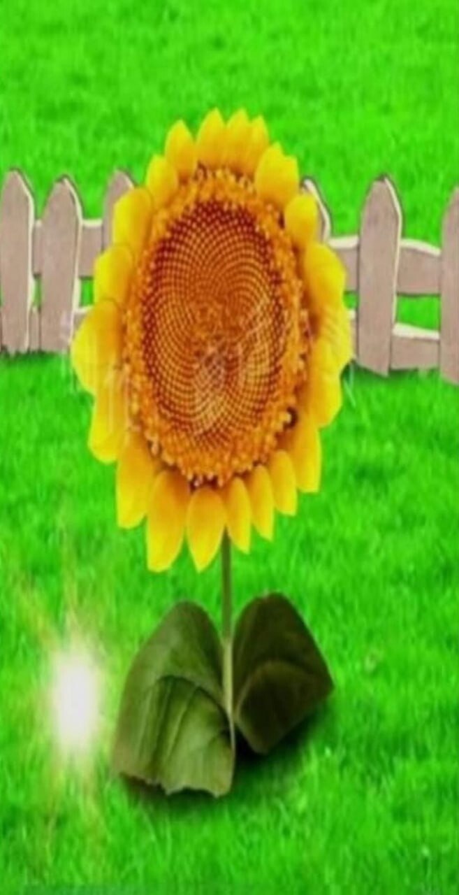 This image is the second entry in the realistic Plants vs Zombies meme series, depicting a realistically rendered sunflower standing on bright green cartoon-style lawn grass, positioned in front of a small wooden picket fence that matches the classic front yard setting of the Plants vs Zombies game. The sunflower is designed to look identical to the Sunflower plant character from the game, with a glowing small sun particle visible to its lower left, referencing the sun currency that Sunflowers produce for players to use in the game. The center of the sunflower has a subtle swirling textured pattern, giving it an uncanny, almost alive appearance that aligns with the series' premise of reimagining game plants as real-world objects.