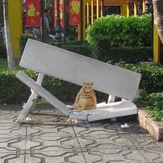 The image is a candid photograph taken in a public park. A heavily tilted, broken concrete park bench sits on a patterned paved walkway, with one half of the bench raised at a sharp angle. An overweight orange tabby cat is slouched lazily on the lower intact section of the bench, staring directly at the camera with a blank, seemingly guilty or unbothered expression. The background features neatly trimmed green hedges, yellow building pillars, red decorative banners with animal illustrations, and a partially visible person standing in the distance. The core visual joke is the humorous implication that the cat's large weight caused the bench to break, with the cat's direct stare making it look like it was caught red-handed after causing the damage.