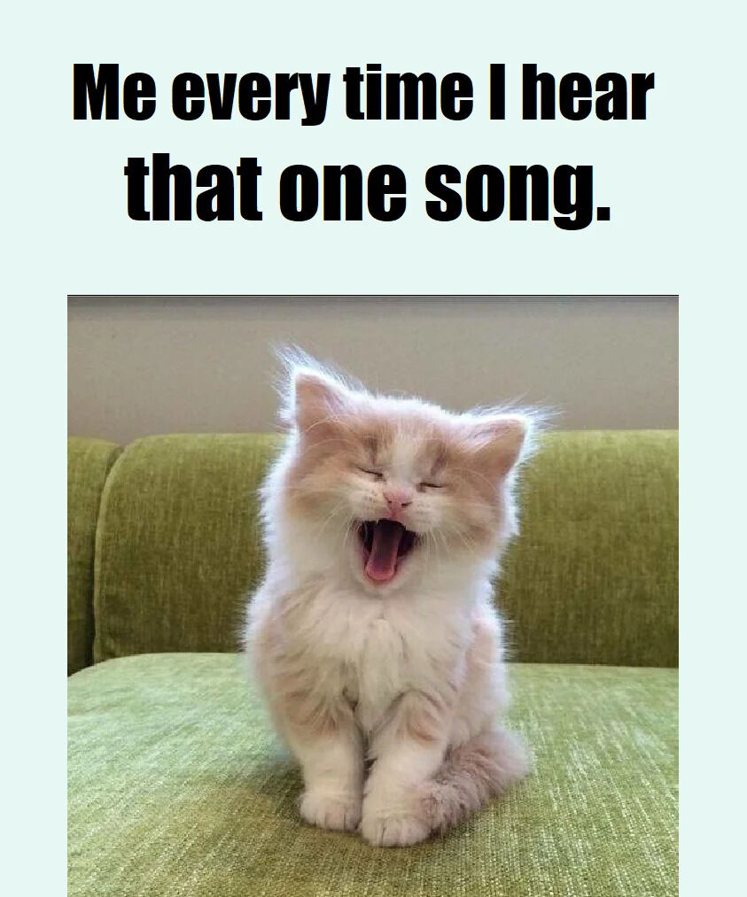 A wholesome meme consisting of a top text overlay that reads 'Me every time I hear that one song.' Below the text is a photograph of a small, fluffy kitten with white and orange fur sitting on a green couch. The kitten has its eyes closed, mouth wide open in a yawn, and appears relaxed and content, humorously capturing the relatable reaction of joy or nostalgia when hearing a beloved song.
