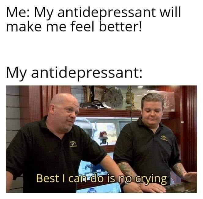 This is a relatable mental health meme using the iconic Pawn Stars 'best I can do' reaction format. The top text states 'Me: My antidepressant will make me feel better!', followed by the line 'My antidepressant:' above a still of Pawn Stars hosts Rick Harrison and Corey Harrison standing at their shop counter. The text overlaid on the still reads 'Best I can do is no crying', humorously conveying the common experience of antidepressants only reducing severe negative symptoms rather than creating positive improved mood as many users initially expect.