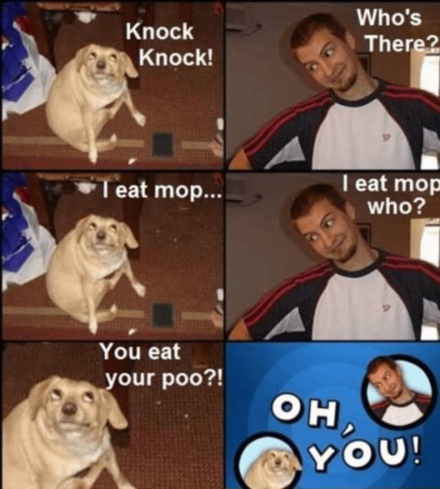 A multi-panel meme comic consisting of six panels (3 rows, 2 columns) depicting a humorous interaction between a beige dog and a man wearing a black-and-white raglan shirt. The comic follows a knock-knock joke format: the dog initiates with 'Knock Knock!' (top-left panel), the man responds 'Who's There?' (top-right), the dog continues 'I eat mop...' (middle-left), the man asks 'I eat mop who?' (middle-right), the dog delivers the punchline 'You eat your poo?!' (bottom-left), and the final panel (bottom-right) features a blue background with large text 'OH, YOU!' alongside circular insets of the man and dog, emphasizing the pun on 'mop who' sounding like 'you eat your poo'.