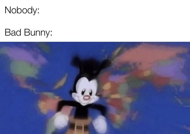 The meme features two text lines at the top: 'Nobody:' followed by 'Bad Bunny:'. Below the text is an image of an animated character with black and white fur, large ears, a round pink nose, and brown overalls, standing in front of a colorful world map background. The humor likely stems from associating Bad Bunny (a celebrity) with geography knowledge, as suggested by the world map and the original title 'Bro knows geography'.