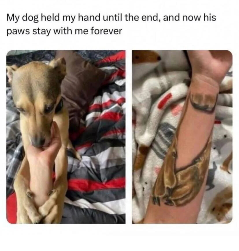 A two-panel meme featuring a heartfelt tribute to a beloved dog. The left panel shows a light brown dog with a calm expression, sitting on a bed with a black, white, and red striped blanket, gently holding their owner's hand between their front paws. The right panel displays a close-up of the owner's forearm, which has a detailed tattoo of the dog's paws in a similar holding position, rendered in brown and black ink. Above both images is the text: 'My dog held my hand until the end, and now his paws stay with me forever,' connecting the dog's final moments of affection to the permanent tattoo memorializing their bond.