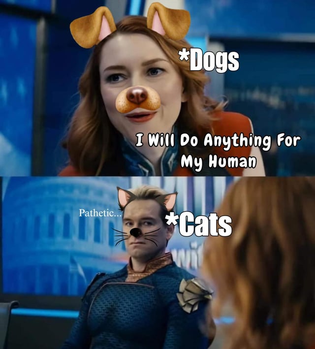 This is a two-panel reaction meme using footage from the live-action series *The Boys*. The top panel shows the character Queen Maeve edited with a dog face filter (floppy dog ears, dog nose) labeled *Dogs*, with text reading 'I Will Do Anything For My Human', referencing the common stereotype of dogs being intensely loyal and devoted to their owners. The bottom panel shows the character Homelander edited with a cat face filter (pointed cat ears, cat nose, whiskers) labeled *Cats*, responding with the word 'Pathetic...' with a disdainful, arrogant expression, playing on the stereotype of cats being aloof, arrogant, and dismissive of dogs' willingness to serve their humans. The joke also leans into Homelander's canonical 'god complex' of feeling superior to everyone around him, which matches the popular perception of cat attitudes.