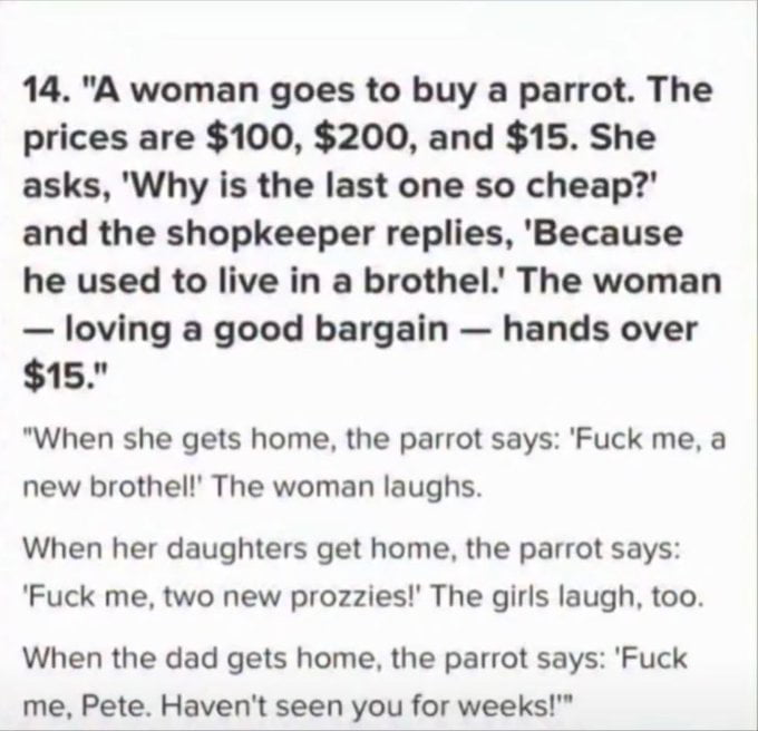 A text-based joke meme featuring a narrative about a woman who purchases a cheap parrot from a shopkeeper, who reveals the bird previously lived in a brothel. The parrot, known for vulgar language, greets the woman as 'a new brothel,' her daughters as 'two new prozzies,' and shockingly recognizes the father as 'Pete,' implying he was a frequent brothel customer. The humor stems from the unexpected twist of the father's connection and the parrot's inappropriate comments.