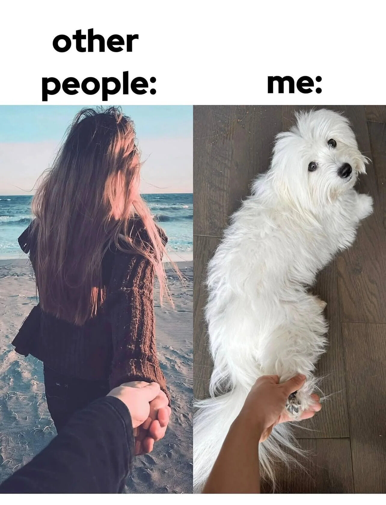 A two-panel comparison meme. The left panel, labeled 'other people:', depicts a person with long hair standing on a beach at sunset, facing the ocean with waves in the background, holding hands with another individual, creating an idealized, serene, and romantic atmosphere. The right panel, labeled 'me:', shows a fluffy white dog lying on a wooden floor, looking up calmly while a hand gently holds its paw, presenting a cozy, relatable, and endearing contrast to the left panel's idealized scenario.