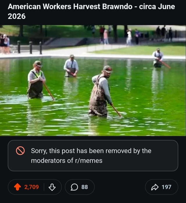 The image is a screenshot of a removed Reddit post. The top portion displays a photograph of several workers in waders standing in bright, neon-green algae-filled water, using long poles to clean the body of water, with a superimposed caption reading 'American Workers Harvest Brawndo - circa June 2026' as a satirical joke referencing the dystopian comedy film *Idiocracy*. Below the image, a Reddit moderator notice states the post was removed by r/memes moderators. Reddit interaction metrics below the notice show the post received 2,709 upvotes, 88 comments, and 197 shares before removal. The overarching context from the original poster is that this joke referencing a 20-year-old comedy film was deemed too political to remain on the r/memes subreddit.