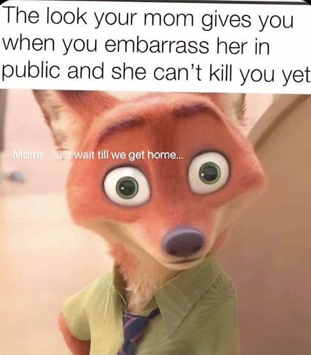 A meme featuring Nick Wilde, the anthropomorphic fox from Disney's Zootopia, with an intense, wide-eyed expression. The top text reads: 'The look your mom gives you when you embarrass her in public and she can’t kill you yet,' and a subtitle attributed to 'Moms' states: 'Just wait till we get home...'. The image humorously portrays the relatable scenario of a mother's restrained frustration when her child embarrasses her in public, using Nick's expressive face to capture the mix of anger and patience.
