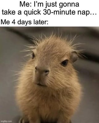 This relatable comedy meme opens with text setting up the premise: 'Me: I'm just gonna take a quick 30-minute nap... Me 4 days later:' followed by a photograph of a scruffy, messy-haired baby capybara with a dazed, disoriented expression. The original title 'LAZARUS!!!!!!!!!!!!! Come out!!!!!!!!!!!!!' references the Christian biblical story where Lazarus was resurrected by Jesus 4 days after his death, framing the extremely overlong nap as being so deep the napper is effectively dead and needs to be called back to consciousness like Lazarus.