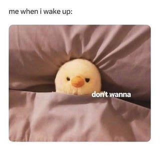This is a relatable single-panel meme. At the top of the image, text reads 'me when i wake up:'. Below the text, a photograph shows a soft round yellow chick plush toy tucked under light purple bed sheets, with only its head peeking out, appearing sleepy and unmotivated. A text overlay on the lower right of the photograph reads 'don't wanna', expressing the common, relatable feeling of not wanting to get up or start the day after waking up, wishing to go back to sleep instead.