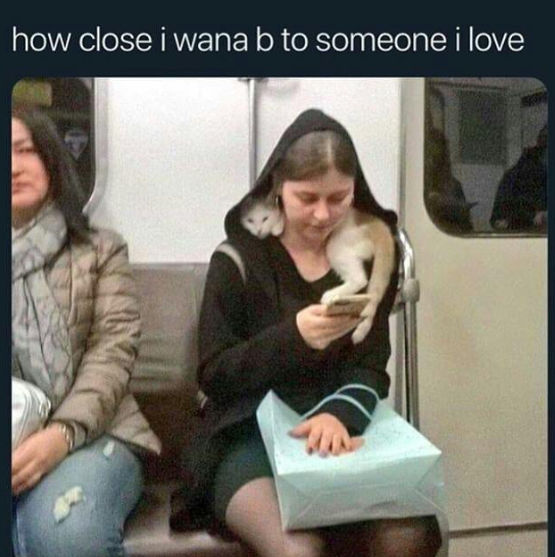 This wholesome meme uses a candid real-life photograph taken on a subway. The image shows a girl in a black hoodie sitting on a subway seat, focused on her phone, while a light-colored cat rests its head on her hooded shoulder and places one paw on her phone screen. The text overlay at the top reads **how close i wana b to someone i love**, using the cozy, intimate scene between the girl and cat to visually represent the longing for warm, close connection with a loved one. The meme evokes feelings of comfort, affection, and relatability.