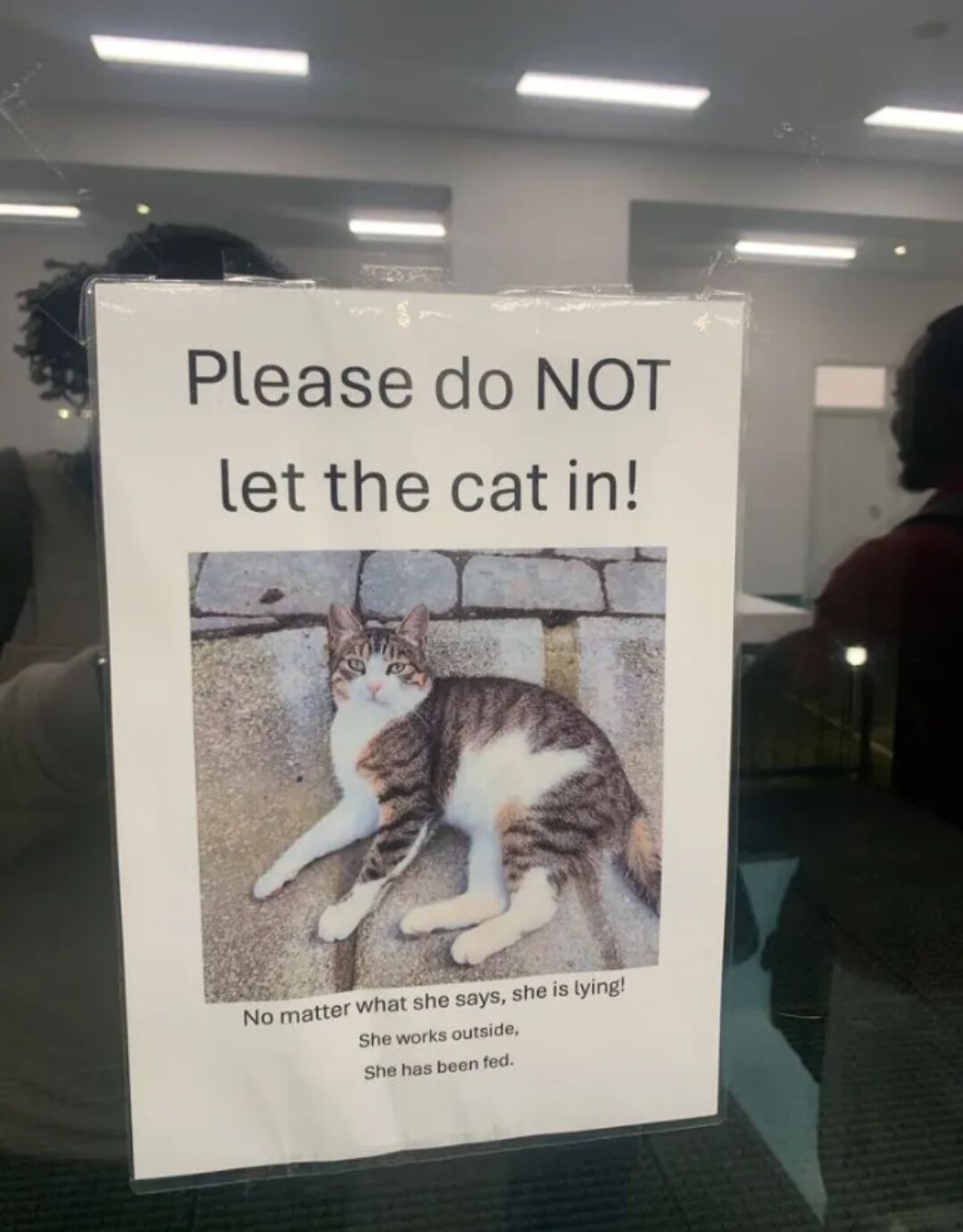 The image shows a laminated printed sign taped to a glass door or window. Large text at the top of the sign reads "Please do NOT let the cat in!". Below this is a photo of a brown tabby cat with white chest, paw and facial markings lounging relaxed on stone pavement. Under the cat photo, smaller text reads: "No matter what she says, she is lying! She works outside, She has been fed." The humor comes from personifying the cat as a sneaky, food-motivated liar that will pretend to be unfed or homeless to trick people into letting her enter the building, a highly relatable joke for cat owners. The background visible through the glass shows an indoor office-like space with fluorescent ceiling lights and blurred silhouettes of people inside.