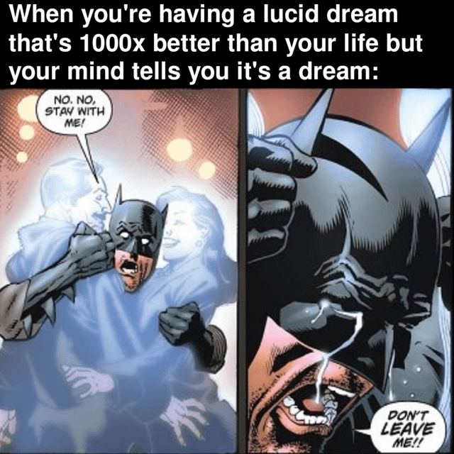 The meme consists of two comic panels featuring Batman, paired with a top text overlay. The top text reads: 'When you're having a lucid dream that's 1000x better than your life but your mind tells you it's a dream:'. The left panel shows Batman reaching out to ghostly, glowing figures with a speech bubble saying 'NO, NO, STAY WITH ME!', his expression desperate. The right panel is a close-up of Batman's face, tears streaming down, with the speech bubble 'DON'T LEAVE ME!!'. The humor arises from using Batman's emotionally charged, desperate reaction (likely from a scene where he loses a loved one) to metaphorically represent the frustration of waking from an exceptionally good lucid dream.
