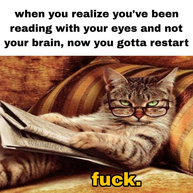A meme featuring a tabby cat wearing glasses, lying on a striped pillow while holding a newspaper. The top text reads 'when you realize you've been reading with your eyes and not your brain, now you gotta restart' and the bottom text, in bold yellow letters, reads 'fuck.' The cat has a serious, slightly annoyed expression with green eyes, emphasizing the relatable frustration of realizing one wasn't paying attention while reading.