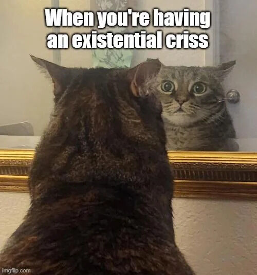 A photograph of a real dark-furred cat standing in front of a gold-framed mirror, intently looking at its own reflection. The cat's reflection shows wide, surprised eyes with large pupils, creating a humorous anthropomorphic effect. At the top of the image, white text with a black outline reads: 'When you're having an existential crisis', implying the cat's shocked reaction to its reflection mimics human feelings of existential anxiety or confusion.