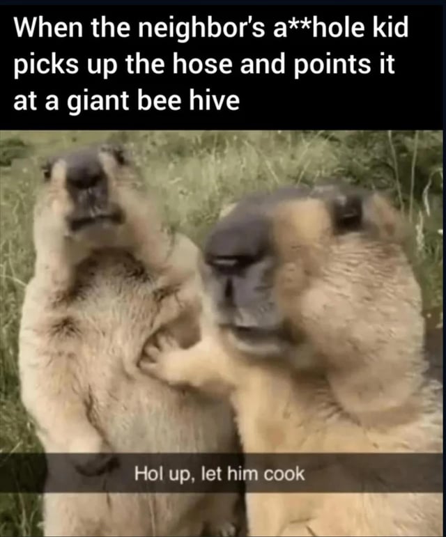 This is a captioned reaction meme using a viral clip of two wild marmots standing upright on grass. The top overlaid text describes a common relatable scenario: a rude misbehaving neighbor kid picks up a hose and points it at a giant beehive. The left marmot appears alarmed, as if about to step in to stop the kid, while the right marmot holds it back. The bottom overlaid text reads "Hol up, let him cook", which is the punchline. The joke uses the popular 2020s internet slang "let him cook", deployed ironically here to mean the speakers choose not to interfere, so the rude kid will face the natural negative consequence of being repeatedly stung by angry bees from the hive, getting his deserved comeuppance.