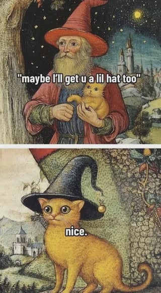 A two-panel meme. Top panel: A wizard with a red hat and white beard holds a small orange cat against a night sky with a castle, with the text 'maybe I'll get u a lil hat too'. Bottom panel: The same orange cat stands wearing a black wizard hat in a similar fantasy setting, with the text 'nice.' The humor stems from the cat's enthusiastic approval of the hat, creating a wholesome and cute interaction.