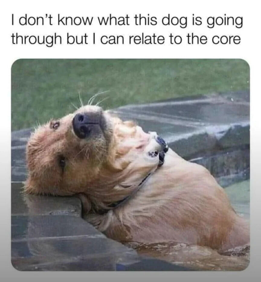 A meme consisting of a real photograph of a golden retriever-like dog with wet fur and a collar, lying on its back with its head tilted upward, eyes half-closed, and mouth slightly open, conveying an expression of extreme exhaustion or defeat. Above the image, bold text reads: 'I don't know what this dog is going through but I can relate to the core.' The humor and appeal stem from the dog's universally recognizable 'drained' demeanor, which viewers associate with their own feelings of overwhelm, fatigue, or emotional exhaustion, creating a relatable and lighthearted connection.