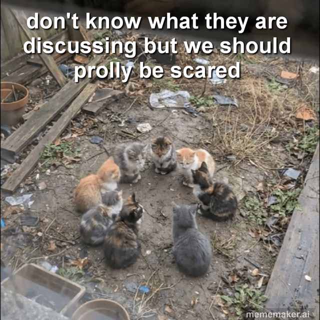 This meme features a candid photo of 8 small stray kittens sitting in a perfect circle on a messy, littered backyard dirt surface, all facing inward as if holding a formal, serious group discussion. White overlaid text at the top of the image reads 'don't know what they are discussing but we should prolly be scared', which leans into the humorous, anthropomorphized joke that the kittens are plotting secret, potentially mischievous or harmful plans that humans ought to worry about. The surrounding background includes discarded wooden planks, broken tile fragments, dry grass, small patches of weeds, and empty pet bowls at the edges of the frame. A small watermark for mememaker.ai is present in the bottom right corner.