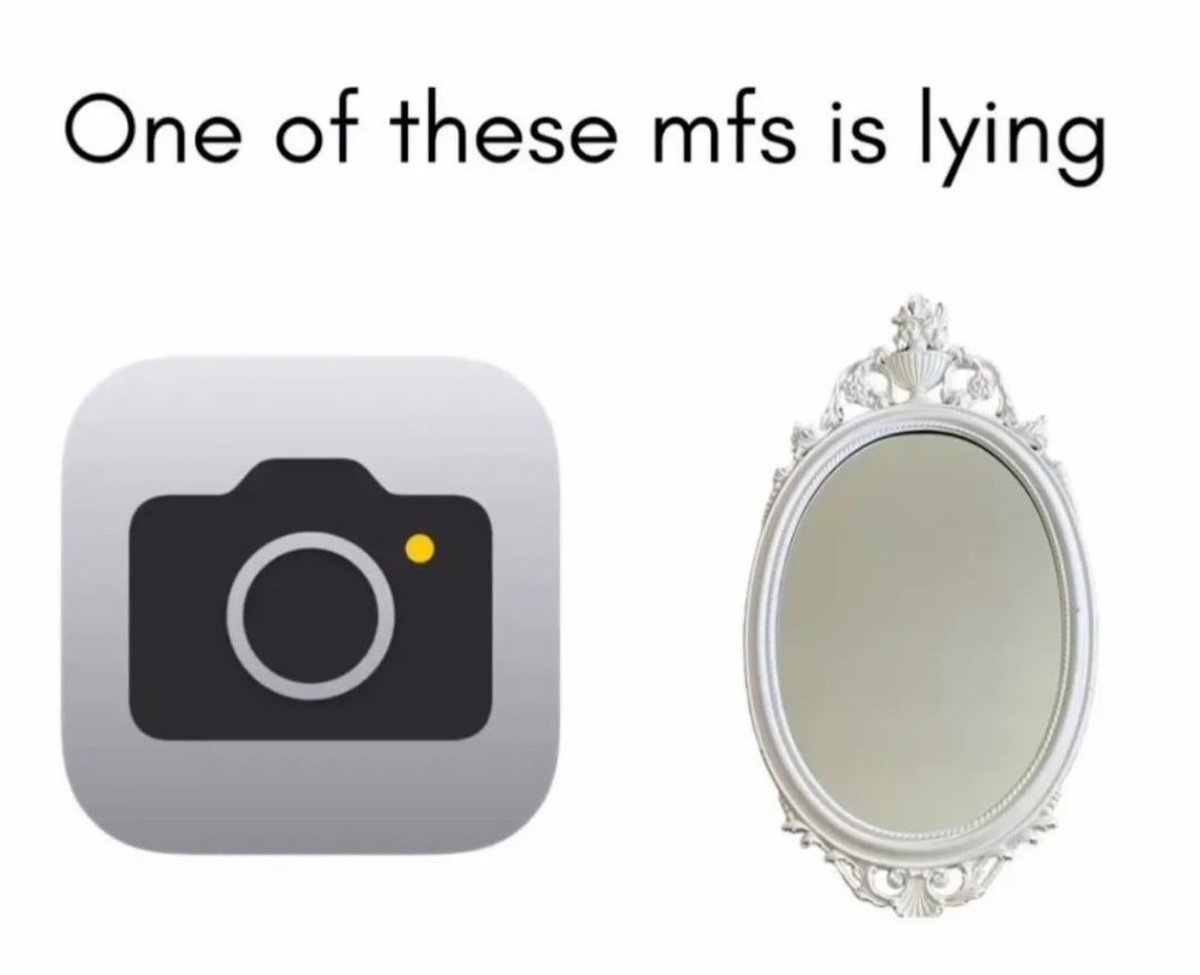 The meme has a plain white background, with bold black text at the top that reads 'One of these mfs is lying'. Below the text, two items are placed side by side: on the left is the standard Apple iOS camera app icon, and on the right is an ornate, decorative white vintage-style oval mirror. The joke plays on the common personal experience of noticing a stark difference between how one looks in their phone camera photos and how they appear when looking in a mirror, implying that one of the two is not giving an accurate depiction of the viewer's real appearance.