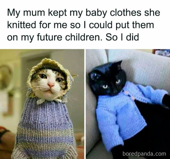 This is a two-panel wholesome meme with a playful pun. The top text reads: *My mum kept my baby clothes she knitted for me so I could put them on my future children. So I did*. The left panel features a tabby cat wearing a cozy, knitted hooded baby sweater, with a slightly resigned, unimpressed expression. The right panel shows a black cat dressed in a light blue knitted baby cardigan, also looking unenthusiastic about its outfit. The core joke is a twist on the phrase 'future children'—instead of human offspring, the poster used their pet cats as their 'children' to repurpose the saved clothes, leaning into the common internet trend of treating pets as beloved family members. The humor comes from the unexpected, cute subversion of the original intention of the baby clothes.