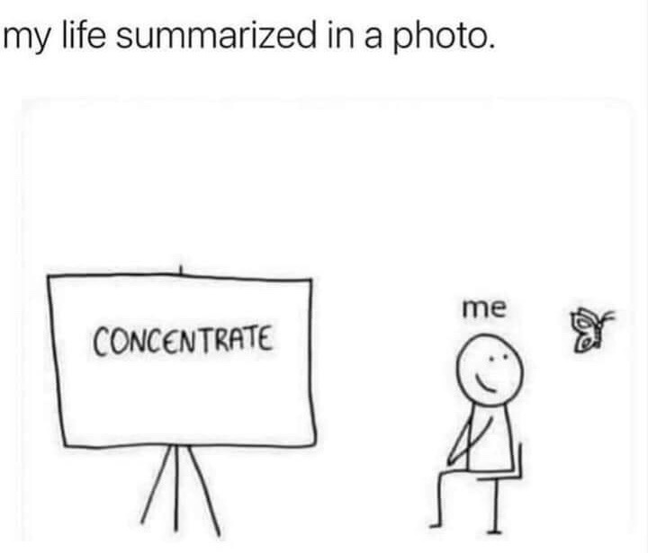 This is a single-panel black and white hand-drawn stick figure meme. At the top of the image, the text reads 'my life summarized in a photo'. On the left side, a presentation easel holds a whiteboard with the word 'CONCENTRATE' written on it, representing the intended goal of staying focused on a task. On the right, a simple stick figure labeled 'me' sits on a chair, smiling distractedly as it looks at a small butterfly flying near its head, completely ignoring the whiteboard that is supposed to be its focus. The meme humorously depicts the extremely relatable common experience of struggling to stay focused and being easily distracted by trivial, unimportant things when you are supposed to be concentrating on work or other responsibilities.