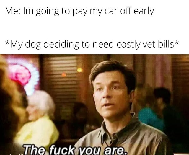 This is a relatable reaction meme. The top text first states the user's financial goal: 'Me: Im going to pay my car off early', then introduces the unexpected obstacle: '*My dog deciding to need costly vet bills*'. Below this text is a screenshot of Michael Bluth from the sitcom Arrested Development, with overlaid text on the image that reads 'The fuck you are.' The meme humorously depicts how unplanned, expensive pet medical costs frequently derail people's personal financial plans to pay off debts early.