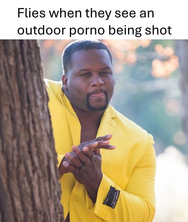 This is a reaction meme featuring text at the top reading 'Flies when they see an outdoor porno being shot', paired with a popular photo of former NFL player Anthony Adams wearing a bright yellow suit, peeking out from behind a tree while rubbing his hands together with a scheming, eager, voyeuristic expression. The joke relies on the common cultural observation that flies frequently appear uninvited during outdoor adult film shoots, humorously personifying flies as excited, nosy voyeurs who deliberately seek out these scenes to intrude, matching the expression and action of the man in the photo.