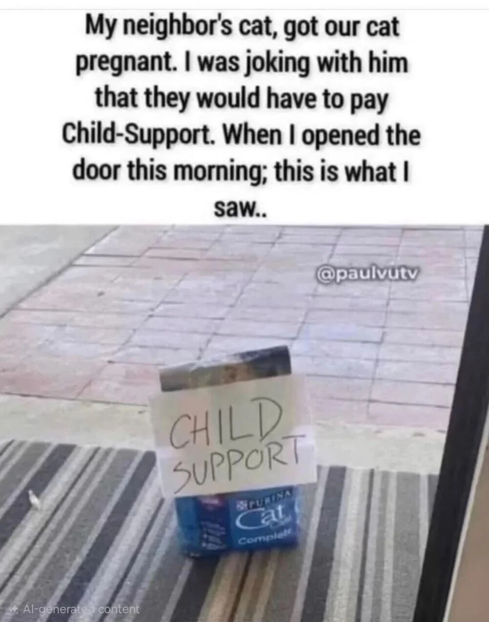 The meme consists of two sections: a top text block and a bottom photograph. The text humorously recounts a scenario where the creator joked with their neighbor about paying 'child support' after the neighbor's cat impregnated their cat. The photograph below shows a doorstep with a Purina Cat Chow box topped with a handwritten sign reading 'CHILD SUPPORT,' implying the neighbor playfully fulfilled the joke by leaving cat food as 'support' for the upcoming kittens.