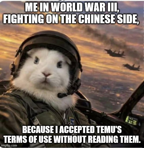 This is a darkly humorous internet meme that jokes about the extremely common habit of accepting website/app Terms of Use agreements without reading any of the fine print. The image shows an edited composite picture: a white rabbit's head is placed onto a fighter pilot's body, the rabbit wears a pilot helmet and flight suit and sits in the cockpit of a fighter jet, with multiple other military fighter jets flying through a sunset sky in the background. The text on the image reads "ME IN WORLD WAR III, FIGHTING ON THE CHINESE SIDE, BECAUSE I ACCEPTED TEMU'S TERMS OF USE WITHOUT READING THEM." The joke relies on the fact that Temu is a Chinese-owned e-commerce app, and implies that the unread fine print in Temu's terms of service forced the poster to enlist to fight for China in a hypothetical third world war.