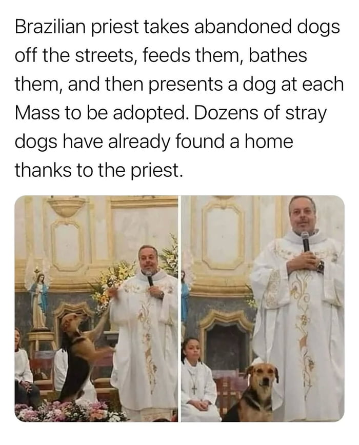 This post consists of a block of descriptive text above a two-panel side-by-side photo collage set inside a church. The top text explains that a Brazilian priest runs a stray dog rescue program: he picks up abandoned dogs from the streets, feeds and bathes them, then features one dog at each of his Masses to be adopted by members of the congregation, with dozens of dogs already finding permanent homes because of his work. The left panel shows the priest, wearing white embroidered ceremonial vestments and holding a microphone, as an excited dark-furred stray dog stands on its hind legs reaching up toward him with its paws. The right panel shows the same priest standing at the church altar, with the same dog now sitting calmly and politely at his feet during the service, ready to be presented for adoption. The post's original title references a pun: the phrase 'doing God's work' is commonly used figuratively to describe kind, helpful actions, but here it is also literal, as the priest is a member of the clergy who officially works in service of God while performing these kind acts.