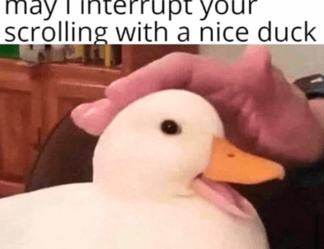 This wholesome meme features a real white domestic duck resting indoors, with a human hand positioned behind it to create a playful visual illusion: the fingers mimic a large pink tongue and an extra beak, making it look like the duck has an exaggerated, silly mouth. A text overlay at the top reads 'may I interrupt your scrolling with a nice duck', which is intended to distract viewers from stressful or heavy thoughts (such as existential crises, as noted in the original Reddit post) with a lighthearted, funny animal moment. The background shows a wooden kitchen cabinet, setting a casual home scene.