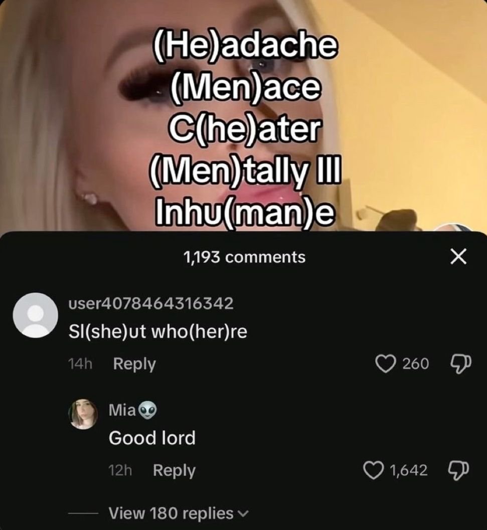 The image is split into two parts: the upper section shows a partial view of a blonde woman's face with heavy makeup and a stud earring in the background, overlaid with white text that modifies negative words to isolate 'he' or 'men' in parentheses, implying men are the root cause of these negative states: (He)adache, (Men)ace, C(he)ater, (Men)tally Ill, Inhu(man)e. The lower section is a screenshot of a social media comment section with 1,193 total comments. The top visible comment from user user4078464316342 flips the original wordplay format to target women, reading 'Sl(she)ut who(her)re' with 260 likes. A reply to this comment from user Mia reads 'Good lord' paired with an alien emoji, earning 1,642 likes as a reaction to the blunt, equal-opposite clapback.