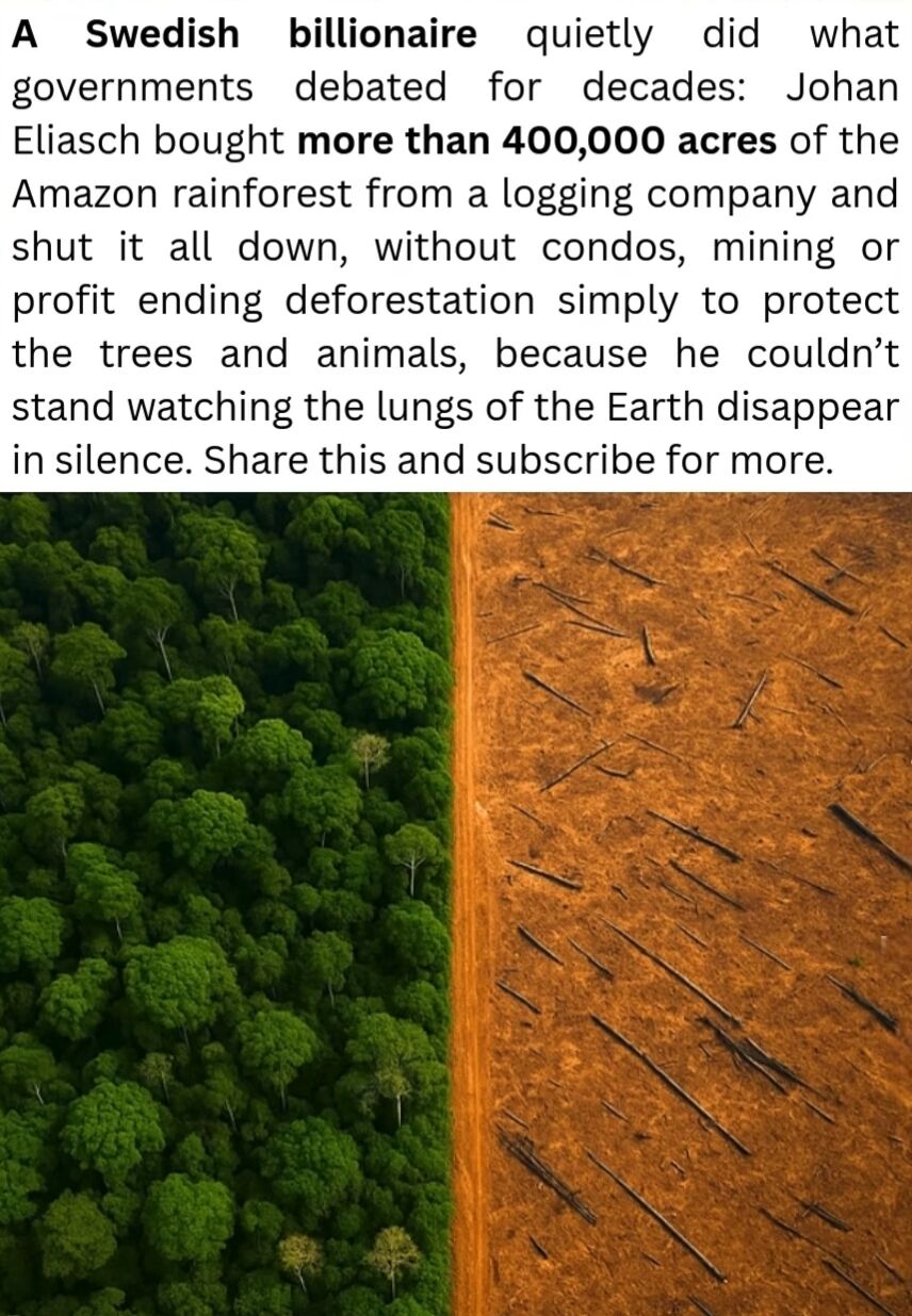 The image features a split aerial photograph displaying a dramatic contrast: on the left side, a dense, vibrant green section of the Amazon rainforest, and on the right, a completely clear-cut, barren expanse with discarded tree trunks, divided by a dirt road. Above this visual, a text narrative details how Swedish billionaire Johan Eliasch took action that governments had debated for decades: he purchased over 400,000 acres of Amazon rainforest from a logging company, halting all commercial activities (including logging, mining, and development) on the land with no profit motive, solely to protect the forest's trees, animals, and ecosystem, as he refused to watch the 'lungs of the Earth' vanish silently. The post concludes with a call to share the content and subscribe for more similar stories.