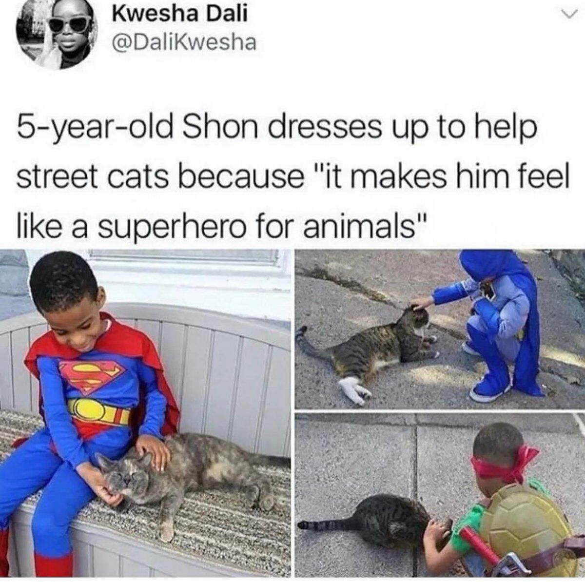 This image is a screenshot of a public post from X (formerly Twitter). The post explains that 5-year-old Shon wears various superhero costumes (including Superman and a Teenage Mutant Ninja Turtle outfit) when interacting with and helping stray street cats, as doing so makes him feel like a superhero for animals. Three photos are attached to the post: the first shows Shon smiling in a Superman costume while petting a relaxed grey tabby cat sitting next to him on a bench. The second shows Shon in a blue superhero costume crouching on the pavement to pet a tabby cat lying on the ground. The third shows Shon in a Teenage Mutant Ninja Turtle costume (with a red mask and turtle shell on his back) petting another dark tabby cat on a sidewalk. The content is entirely wholesome, highlighting the young child's empathy and kindness towards stray animals.