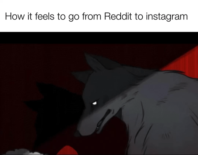 The meme consists of a top text caption reading 'How it feels to go from Reddit to instagram' above an animated image of a menacing wolf. The wolf has dark gray fur, glowing white eyes, and a sharp-toothed snarl, set against a dark, shadowy background with red accents. The visual humor lies in contrasting the perceived anonymity and edginess of Reddit with the more mainstream, public nature of Instagram, as the wolf's ominous demeanor suggests feeling out of place or 'slinking into shadows' when transitioning between platforms.