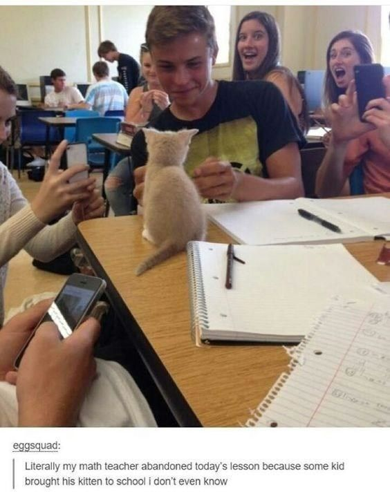 A color photograph of a lively classroom scene. A central student sits at a wooden desk, holding a small light brown kitten that is perched on the desk. The desk has open notebooks, a pen, and scattered papers. Surrounding students are actively using smartphones to take pictures of the kitten, appearing amused and excited with smiles and raised phones. The background shows additional desks and students, typical of a school classroom setting. Below the image, there is a text overlay from the username 'eggsquad' explaining that the math teacher abandoned the lesson because a student brought the kitten to school.