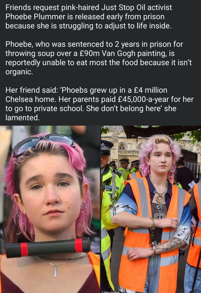 This meme presents a real news story alongside two photos of Just Stop Oil activist Phoebe Plummer. The text explains that Plummer, who was sentenced to 2 years in prison for throwing soup on a £90 million Van Gogh painting, is requesting early release because she cannot adjust to prison life, specifically refusing to eat most prison food as it is not organic. It adds context that she grew up in a £4 million Chelsea home and attended a private school costing £45,000 per year, with her friend stating she 'doesn't belong' in prison. The two photos show Plummer: first a closeup with her signature pink hair and sunglasses perched on her head, second her wearing a high-visibility orange protest vest standing in front of police officers at a demonstration. The core joke comes from the extreme irony of a wealthy activist who committed a crime complaining that prison does not accommodate her privileged, upper-class lifestyle preferences.