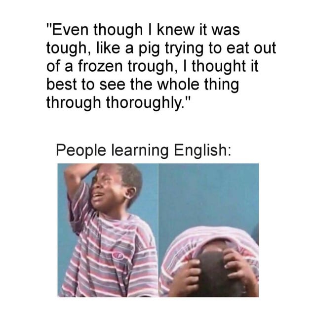 A meme featuring a two-panel layout. The top section contains a complex English sentence: "Even though I knew it was tough, like a pig trying to eat out of a frozen trough, I thought it best to see the whole thing through thoroughly." Below this sentence is the caption: "People learning English:"

The lower half of the meme is split into two images of a young child. The left panel shows the child with tears streaming down their face, raising one hand to their head in distress. The right panel shows the same child covering their face with both hands, appearing overwhelmed. The meme humorously highlights the frustration English learners experience when encountering sentences with multiple similar-sounding words (homophones: tough, trough, through, thoroughly).