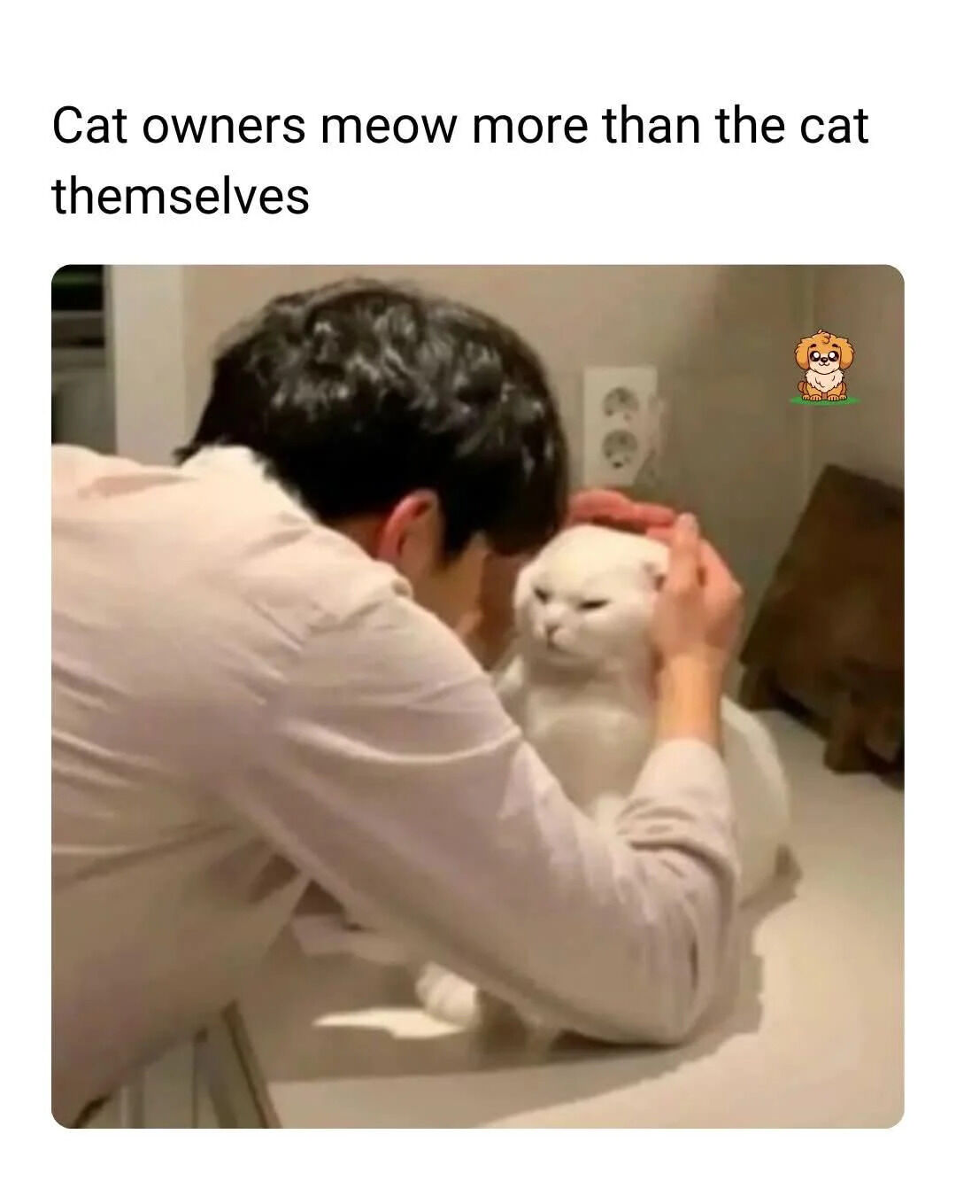A meme featuring a top text overlay that reads 'Cat owners meow more than the cat themselves' above a photograph. The photograph shows a person with dark hair, wearing a light-colored shirt, leaning down to pet a white cat. The cat appears to have a slightly annoyed or indifferent expression, sitting calmly while being petted. In the top right corner of the image, there is a small watermark featuring a cartoon dog with a yellow and orange coat, wearing glasses.
