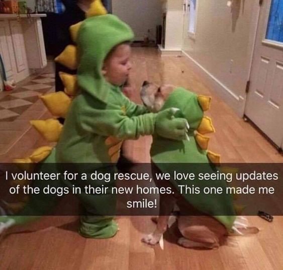 This is a wholesome, heartwarming meme featuring a real photograph of a young toddler and a rescue dog, both dressed in matching green dinosaur costumes. The toddler stands embracing the seated dog, who appears calm and content. Overlaid on the image is a text caption from a dog rescue volunteer: *I volunteer for a dog rescue, we love seeing updates of the dogs in their new homes. This one made me smile!* The image celebrates the joy of rescue pets finding loving, happy homes, showcasing a tender, playful moment between the child and the dog. It emphasizes the positive impact of pet adoption and the warmth of interspecies companionship.