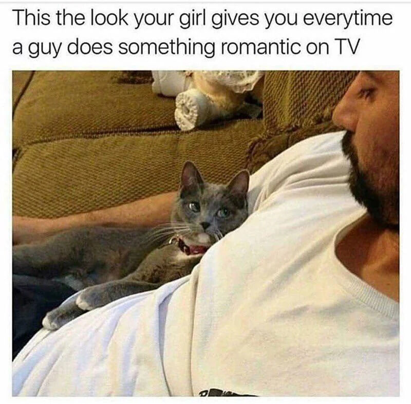 A meme featuring a photograph of a man in a white shirt sitting on a brown couch. A gray cat with a pink collar lies on his chest, looking up at him with an expectant or slightly judgmental expression. Above the image is text that reads: 'This the look your girl gives you everytime a guy does something romantic on TV'. The cat's expression is humorously compared to a partner's reaction when seeing romantic gestures on television, creating a relatable joke about relationship dynamics and media influence.