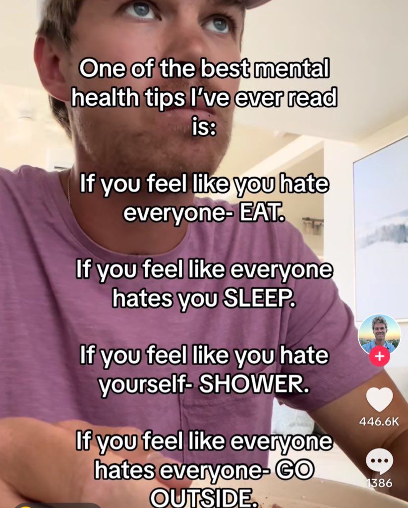 A screenshot of a social media post from X.com featuring a person wearing a purple shirt, seated indoors with a blurred background showing a wall and a picture frame. The image has a prominent text overlay delivering simple mental health advice: 'One of the best mental health tips I’ve ever read is: If you feel like you hate everyone- EAT. If you feel like everyone hates you SLEEP. If you feel like you hate yourself- SHOWER. If you feel like everyone hates everyone- GO OUTSIDE.' In the bottom right corner, there are engagement metrics displaying 446.6K likes and 1386 comments, along with a small circular profile picture and a red '+' icon, typical of X.com's interface.