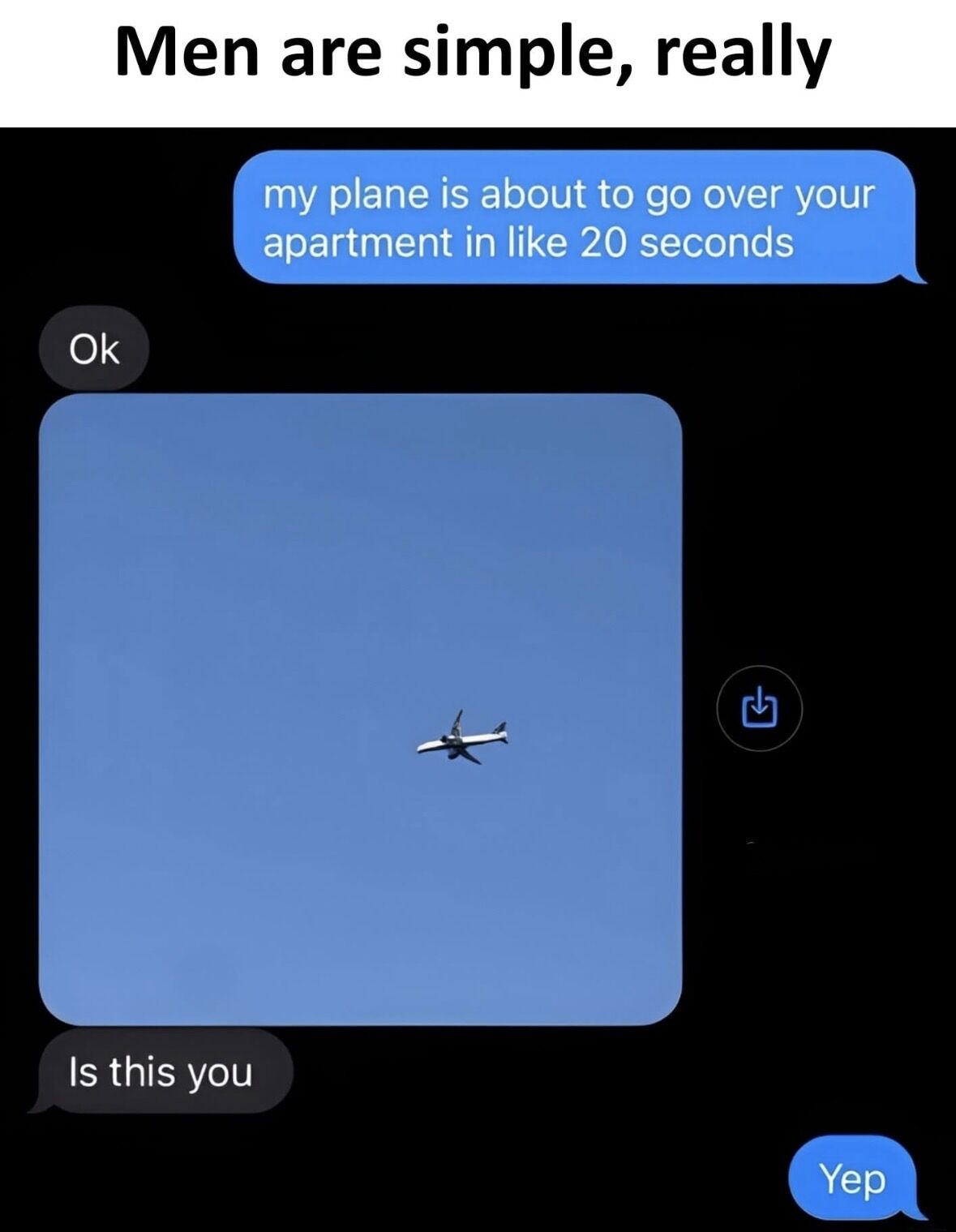 This meme is a screenshot of a mobile text message conversation, with a top header that reads 'Men are simple, really'. The conversation shows one person (sending blue text bubbles) informing the recipient that the plane they are traveling on will fly over the recipient's apartment in roughly 20 seconds. The recipient responds with a short 'Ok', then sends a photograph of a commercial airplane flying against a clear blue sky, followed by the question 'Is this you'. The person on the plane confirms playfully with 'Yep'. The joke leans into the common lighthearted stereotype that men find simple, silly, small coordinated activities like this highly entertaining, and highlights a sweet, playful interaction between two people who know each other.