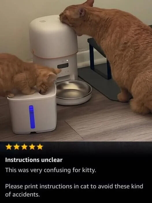 The image features two orange tabby cats, an adult and a kitten, misusing automatic pet feeding and watering devices. The larger adult cat is pressing its face against the top of the automatic food feeder instead of eating from the stainless steel bowl below it, while the small kitten is digging at the top of the adjacent pet water fountain instead of drinking from it properly. Below the photo, a satirical 5-star product review is displayed, joking that the instructions for the pet devices were unclear for the cats, and requesting that manufacturers print instructions in cat language to prevent these kinds of 'accidents' in the future. The humor comes from personifying the cats' typical curious misbehavior as a legitimate consumer complaint.