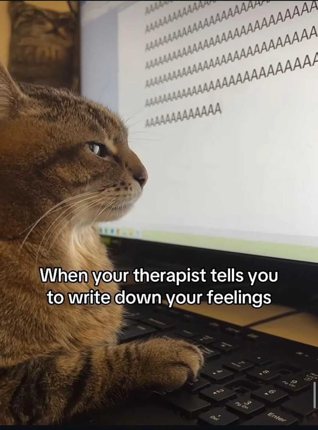 A tabby cat with a focused expression sits in front of a laptop, one paw resting on the keyboard. The laptop screen displays a series of repeated 'AAAAA...' characters, suggesting the cat is typing random letters. A text overlay humorously captions the scene: 'When your therapist tells you to write down your feelings,' creating a relatable and wholesome joke about the struggle to articulate emotions, framed through the endearing image of a cat 'following' therapeutic advice.