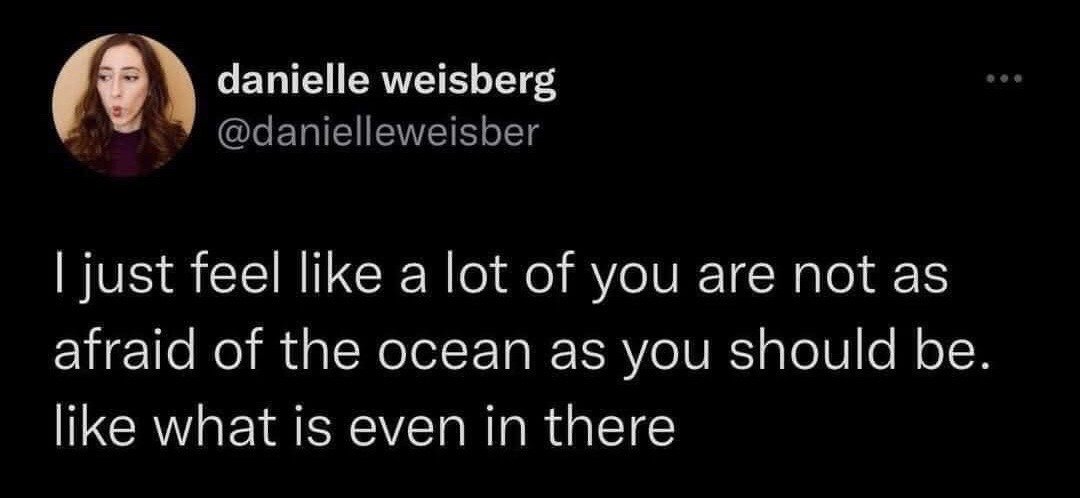 This is a screenshot of a public post from X (formerly Twitter) showing a tweet by user Danielle Weisberg. The top left shows the user's circular profile picture: a woman with wavy brown hair wearing a dark purple top, making a surprised, perplexed facial expression with her mouth slightly open and eyes wide looking off to the side. The main text of the tweet reads: 'I just feel like a lot of you are not as afraid of the ocean as you should be. like what is even in there'. The meme conveys a relatable humorous anxious sentiment pointing out that most people do not have a healthy amount of fear for the ocean, which is full of unknown, unobserved deep-sea creatures and unexplored areas.