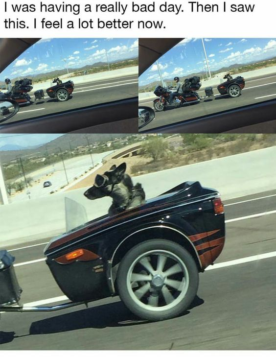 This meme features three combined images: two top shots of motorcyclists on a highway (viewed from inside a car), and a bottom close-up of a German Shepherd dog sitting alertly in a motorcycle sidecar. Above the images, the text reads: *I was having a really bad day. Then I saw this. I feel a lot better now.* The wholesome appeal comes from the unexpected, cute sight of the dog riding along, framed as a simple, joyful moment that turns around a tough day.